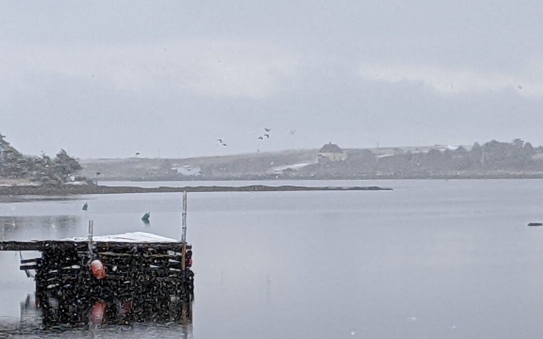 The first snow of winter